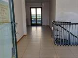 Superfici commerciali, APPIANO GENTILE, <i>A richiesta</i>, 64,00 mq