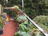 Appartamento, CAMPI BISENZIO, 250.000 €, 120,00 mq