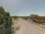 Particella, MONOPOLI, 18.000 €, 5700,00 mq
