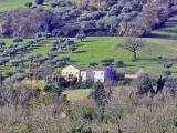 Particella, CINGOLI, 178.000 €, 650,00 mq