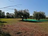 Particella, LANUVIO, 13.000 €, 2615,00 mq