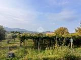 Particella, SAN CESAREO, 25.000 €, 4000,00 mq