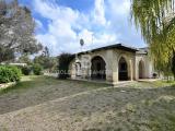 Casa, BRINDISI, 310.000 €, 91,00 mq