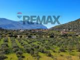 Particella, TORRETTA, 265.000 €, 15230,00 mq