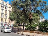 Affitto, Appartamento, NAPOLI, 1.100 €, 65,00 mq