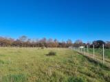 Particella, NETTUNO, 95.000 €, 15660,00 mq