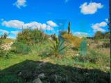 Particella, NOTO, 95.000 €, 6050,00 mq