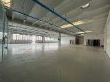 Superfici commerciali, ORTA DI ATELLA, 650.000 €, 1000,00 mq