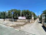 Particella, TRANI, 75.000 €, 900,00 mq