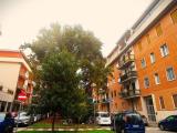 Appartamento, FERRARA, 250.000 €, 130,00 mq