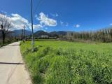 Particella, SUPINO, 40.000 €, 3600,00 mq