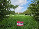 Particella, MODENA, 119.000 €, 1150,00 mq