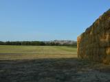 Particella, RECANATI, 350.000 €