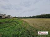 Particella, ARLUNO, 70.000 €, 6000,00 mq