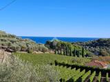 Particella, DIANO MARINA, 75.000 €, 50,00 mq