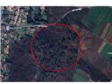 Particella, MORNAGO, 10.000 €, 4100,00 mq