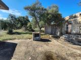 Particella, BISCEGLIE, 12.000 €, 2000,00 mq