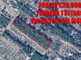 Particella, CORATO, 20.000 €, 10400,00 mq