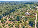 Casa, CEGLIE MESSAPICA, 130.000 €, 114,00 mq