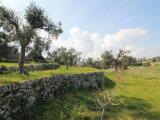 Particella, OSTUNI, 75.000 €, 60,00 mq