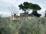Casa, COLLESALVETTI, 239.000 €, 218,00 mq