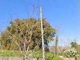 Particella, GIARRE, 65.000 €, 800,00 mq