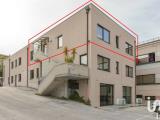 Superfici commerciali, CASTELFIDARDO, 140.000 €, 180,00 mq