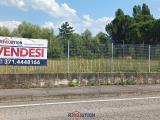 Particella, CARAVAGGIO, 450.000 €, 3200,00 mq