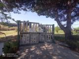 Particella, CAMPOMARINO, 79.000 €, 12178,00 mq