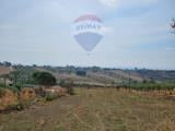 Particella, CALTAGIRONE, 37.000 €, 12576,00 mq