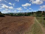 Particella, SAN CESAREO, 19.000 €, 2420,00 mq