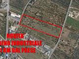 Particella, CORATO, 550.000 €, 20000,00 mq