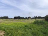 Particella, CASTELLAMMARE DEL GOLFO, 100.000 €, 8530,00 mq