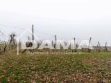 Particella, FORLI, 87.000 €, 28000,00 mq