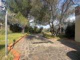 Casa, LARCIANO, 400.000 €, 242,00 mq
