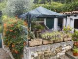 Particella, TRIESTE, Basovizza, 250.000 €, 540,00 mq
