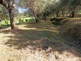 Affitto, Casa, CAPANNORI, 800 €, 120,00 mq