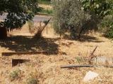 Particella, TERRANUOVA BRACCIOLINI, <i>A richiesta</i>, 5000,00 mq
