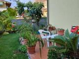 Casa, MASSA, 420.000 €, 150,00 mq