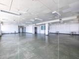 Affitto, Superfici commerciali, ROMA, Tiburtina, 3.500 €, 1000,00 mq