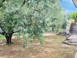 Casa, CESENA, 750.000 €, 512,00 mq