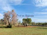 Particella, SAN VITO DEI NORMANNI, 78.000 €, 10735,00 mq
