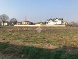 Particella, CORBETTA, 110.000 €, 736,00 mq