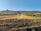 Particella, ALTAMURA, 17.000 €, 5680,00 mq