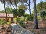 Casa, LIVORNO, 619.000 €, 240,00 mq