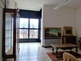 Affitto, Superfici commerciali, CESENA, 800 €, 67,00 mq