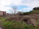 Particella, CESANO MADERNO, 305.000 €, 4300,00 mq
