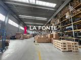 Affitto, Superfici commerciali, PIANIGA, 30.000 €, 7000,00 mq