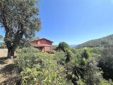 Casa, MONTE ARGENTARIO, 700.000 €, 130,00 mq