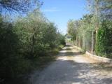 Particella, SASSARI, 45.000 €, 7782,00 mq